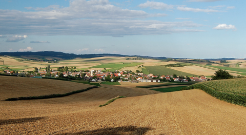 Herzogbirbaum View